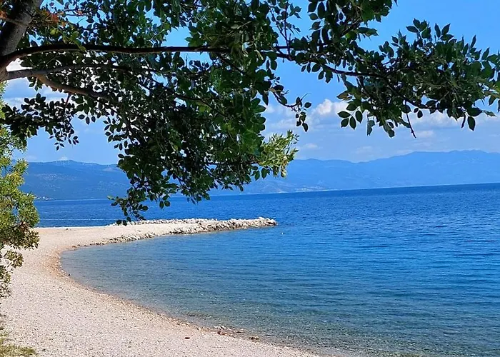 App_garden_1 * ノヴィ・ヴィノドロスキー